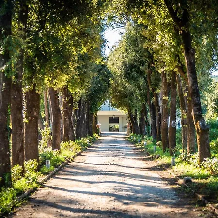 Ortensia D'avalos Alvignano