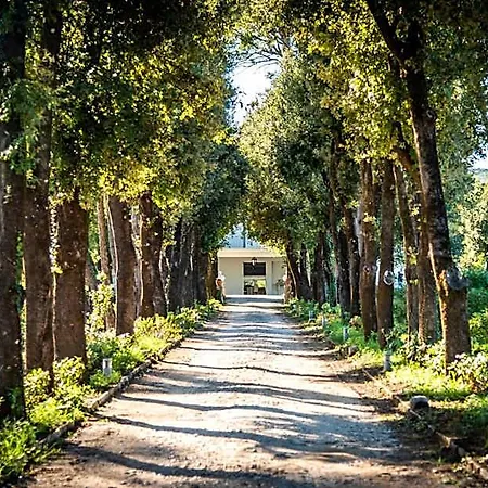 Ortensia D'avalos Resort Alvignano