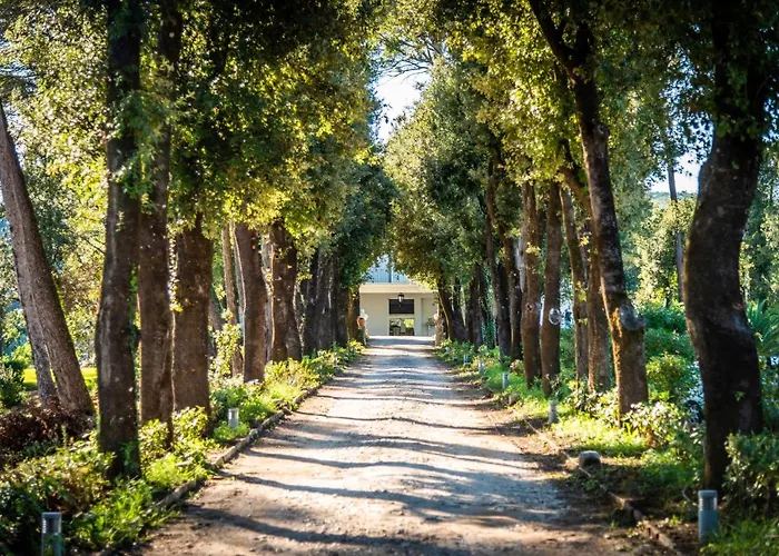 Ortensia D'avalos Alvignano